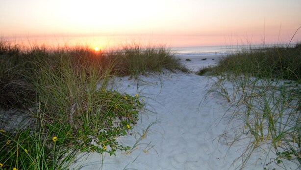 Un sentier bordé de sable et d’herbe qui mène à l’océan.
