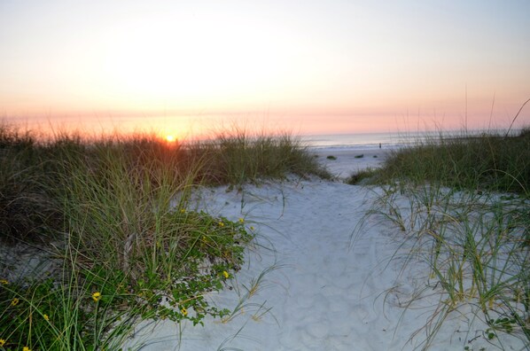 ビーチの近く、サンラウンジャー、ビーチタオル