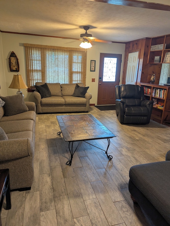 Televisión, chimenea y libros