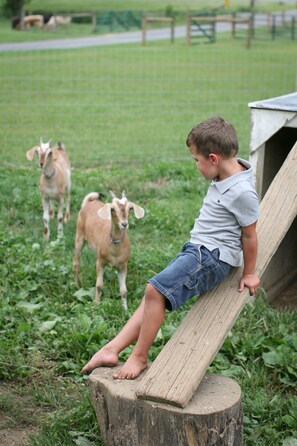 Property grounds - Welcome to our farm and guest house in Amish Country! (Manheim)