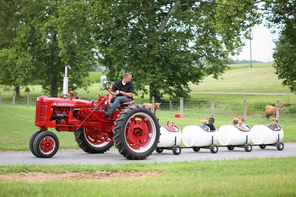 A red tractor pulling a series of white carriages with children seated inside. - Welcome to our farm and guest house in Amish Country! (Manheim)
