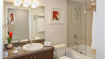 Bañera, secador de pelo, toallas