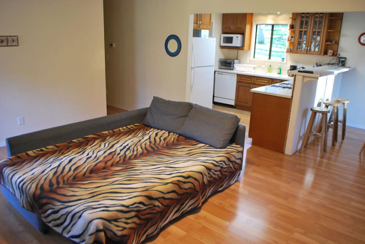 Een televisie, een open haard, Netflix en streamingdiensten