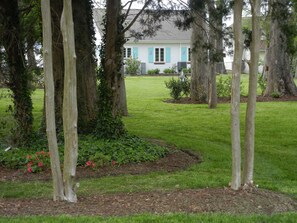 Property grounds -  Beach Cottage - James River - America’s 250 Yr Birthday Celebration (Surry)