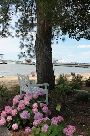 Cottage waterside looking toward the ferry and beach.