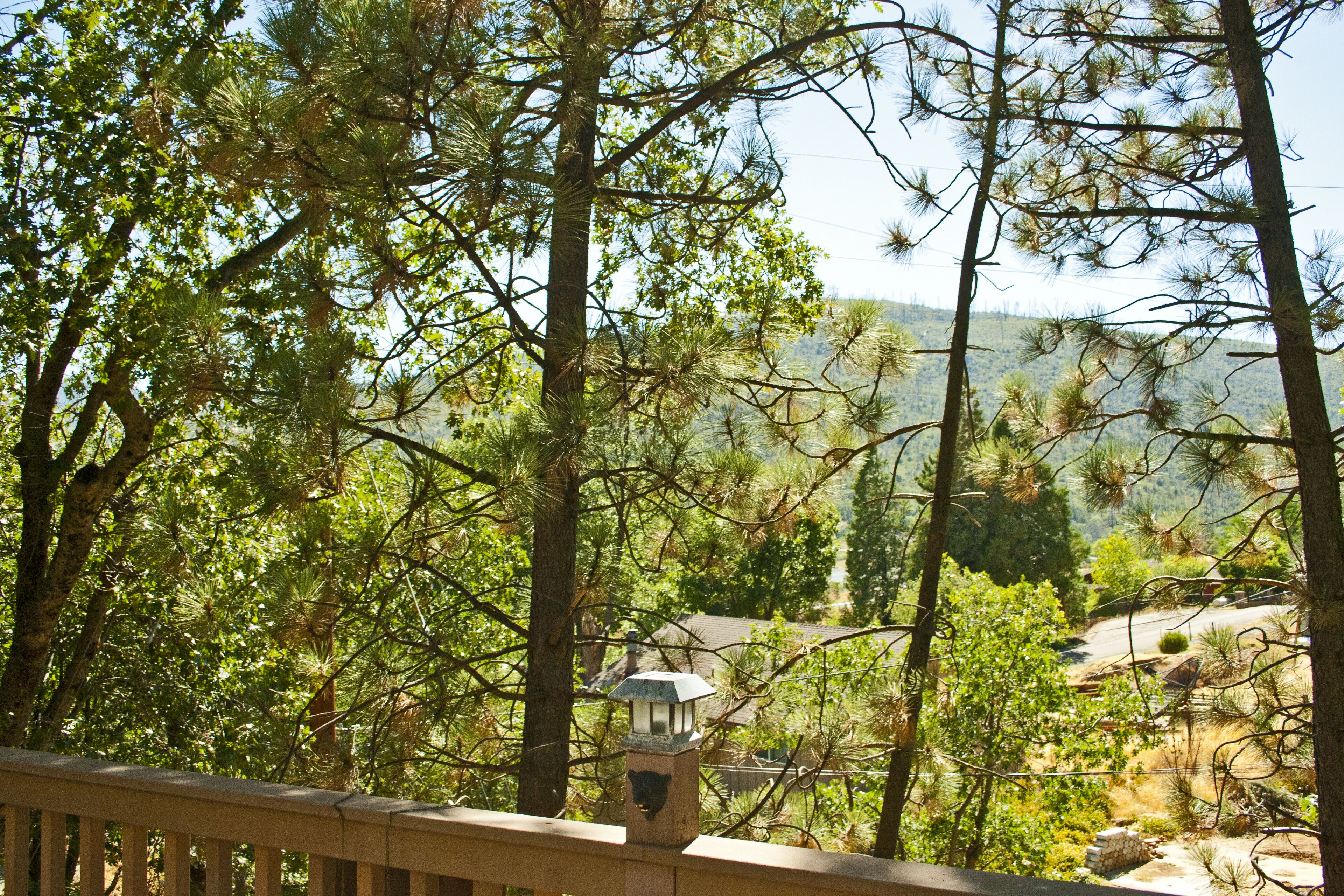 A Beautiful And Serene Lake View House