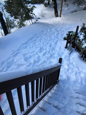 Enjoy the serene winter landscape and sheltered outdoor space adjacent to the building.