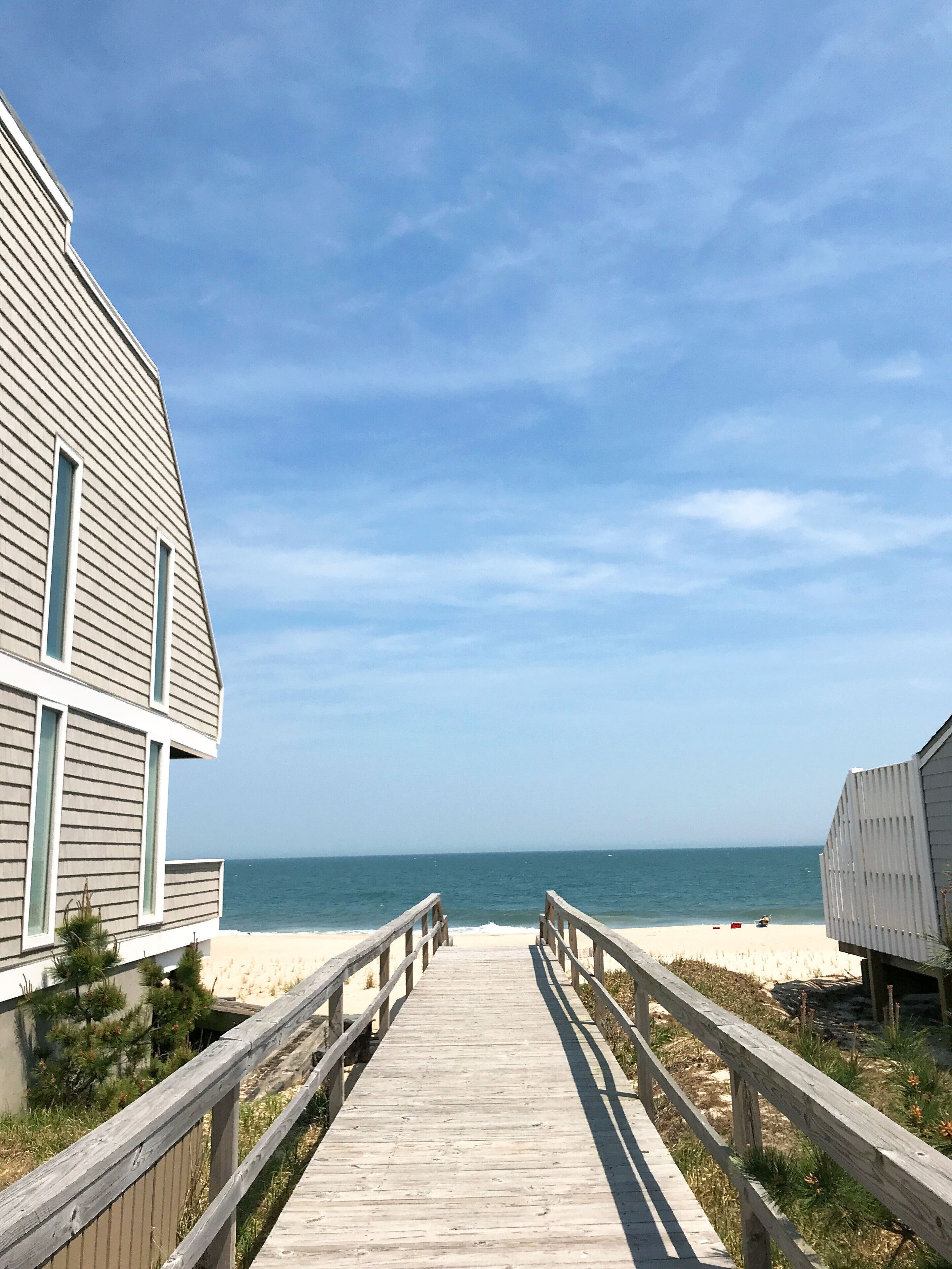 Ocean and Dolphin View