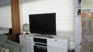 TV, fireplace - Beachfront - Awesome Ocean Views - 2 weeks or longer and save! (Oceanside)