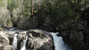 Ein natürlicher Wasserfall, umgeben von dichtem Wald.
