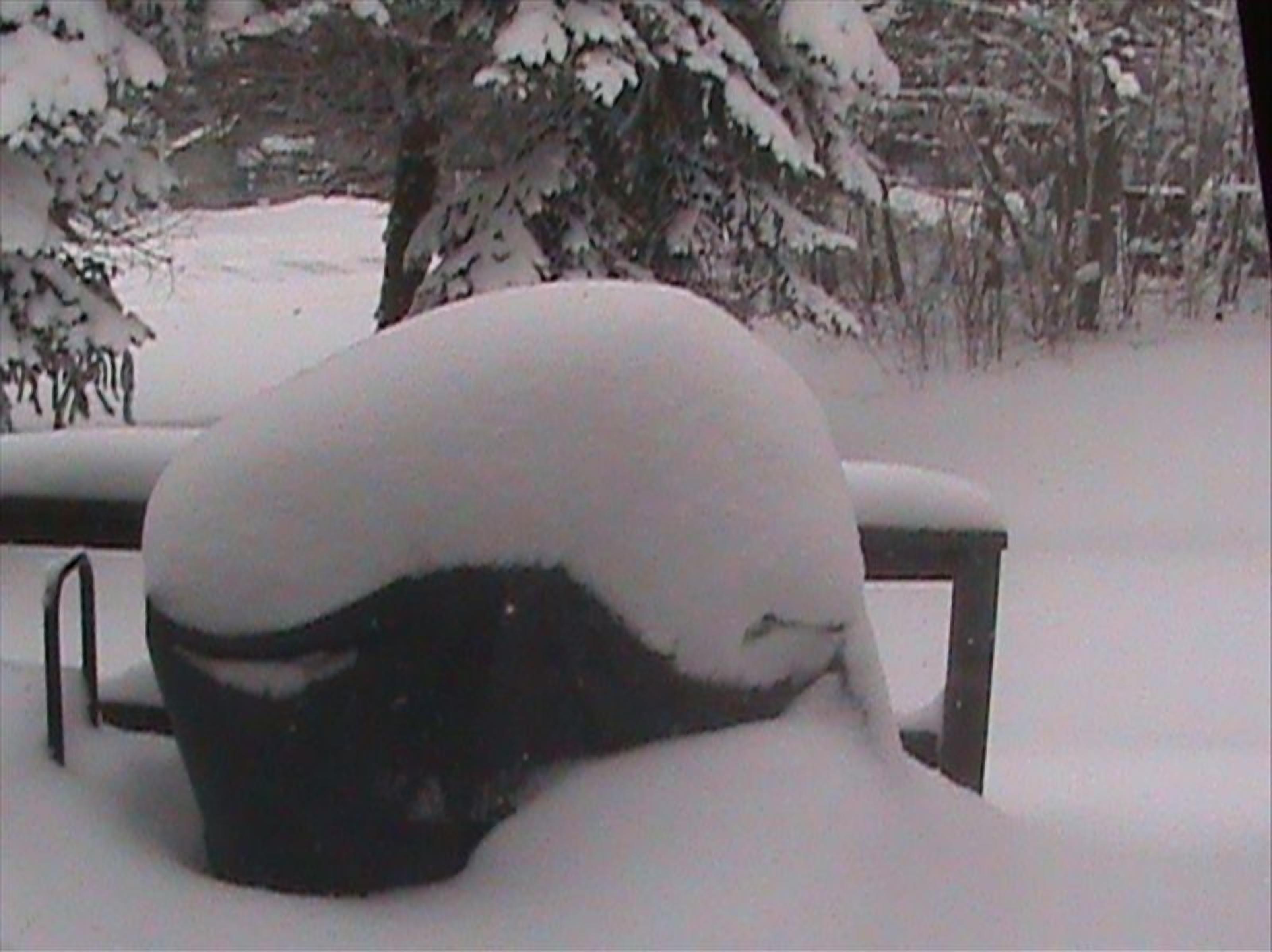 A snow-covered bench in a snowy outdoor setting.