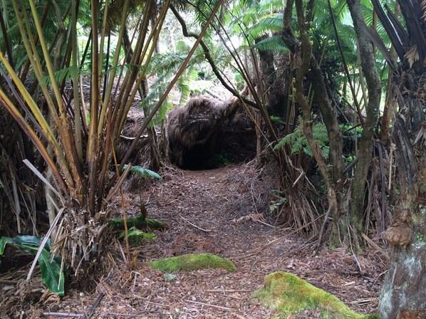 Property grounds - Cozy House near the Hawaii Volcanoes National Park and Volcano Village on 1 Acre (Volcano)