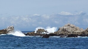 A rocky coastline with waves crashing against the rocks. - On the water in Pacific Grove (Pacific Grove)