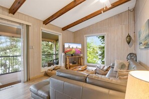 Smart TV, fireplace, video games, DVD player