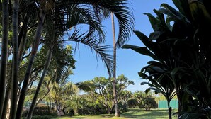 Un jardin bien entretenu, agrémenté de diverses plantes tropicales, d’un chemin de pierres et d’une pelouse verdoyante.