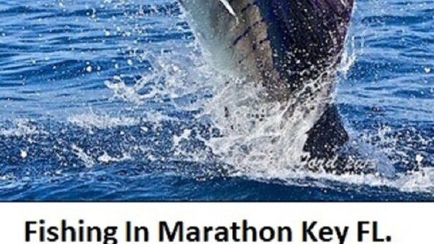 Un pez vela salta del agua con una línea de pesca, señal de actividad de pesca en Marathon Key, Florida.