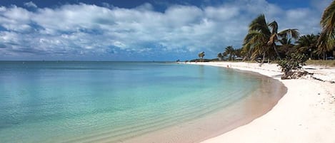 Sun-loungers, beach towels