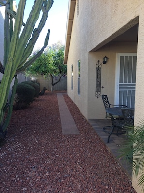 Un área de patio con un cactus, un sendero y una mesa con sillas.