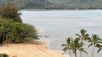 Beach nearby, sun loungers, beach towels