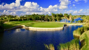 Een golfbaan met een waterhindernis, palmbomen en een helderblauwe lucht.