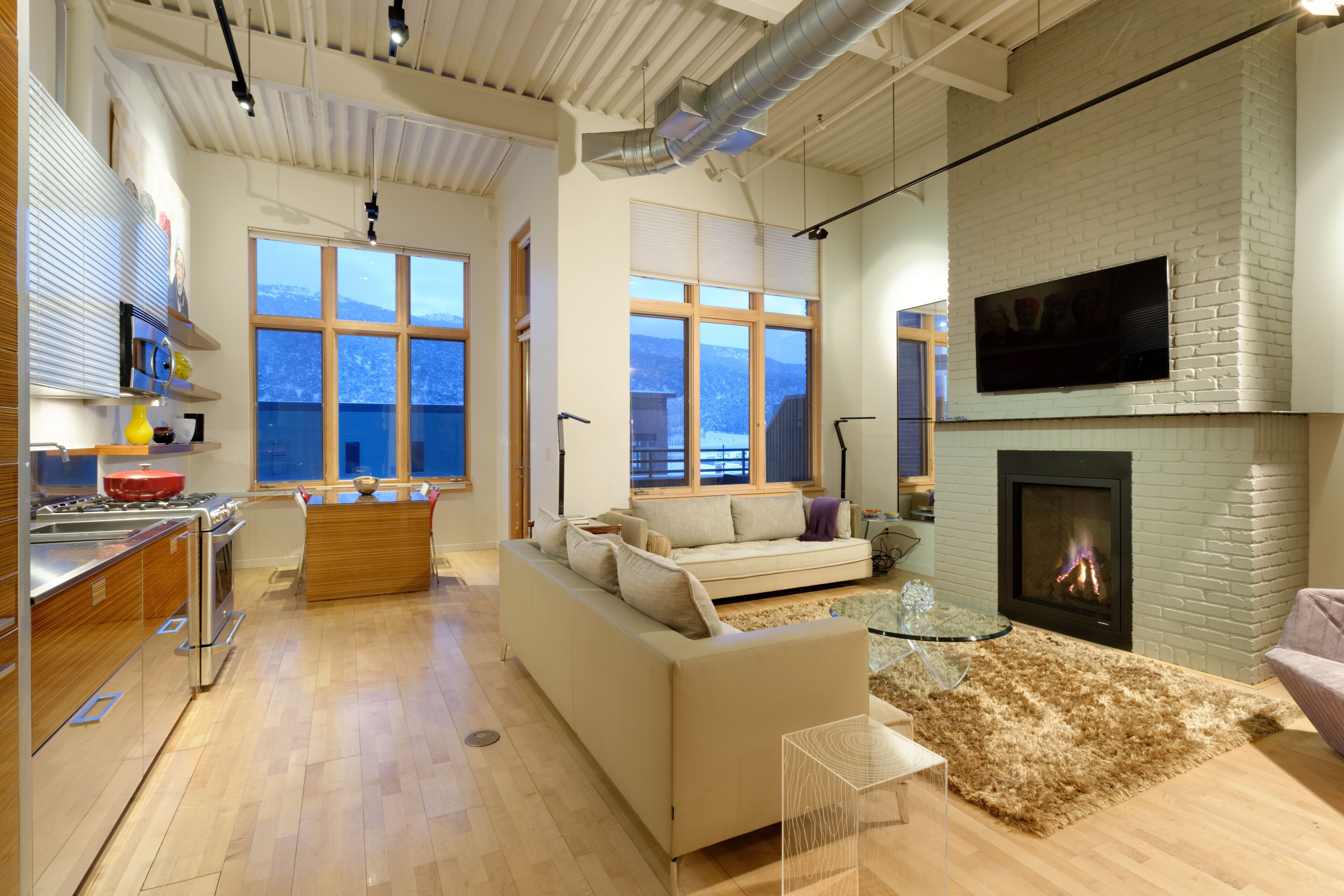 Smart TV, fireplace, books, music library