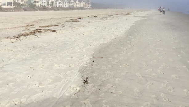 A sandy beach with footprints and a jet trail in the sky. - The B.E.A.C.H.H.- STR Permit Number for this property is:
034944 (Hilton Head Island)