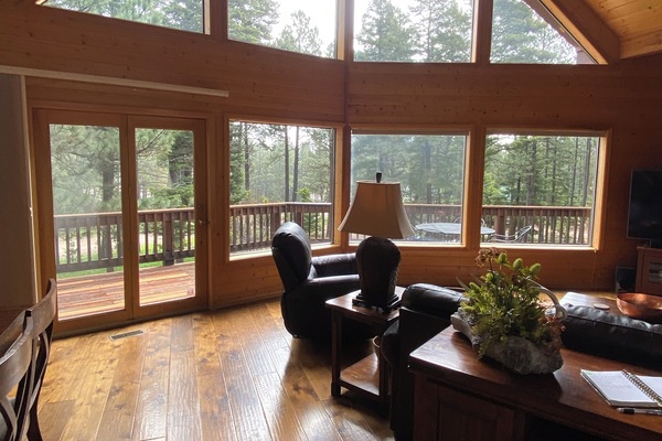 TV connectée, cheminée, lecteur de DVD, livres