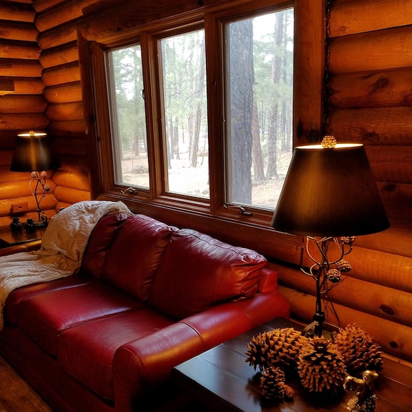 Smart TV, fireplace, DVD player, books