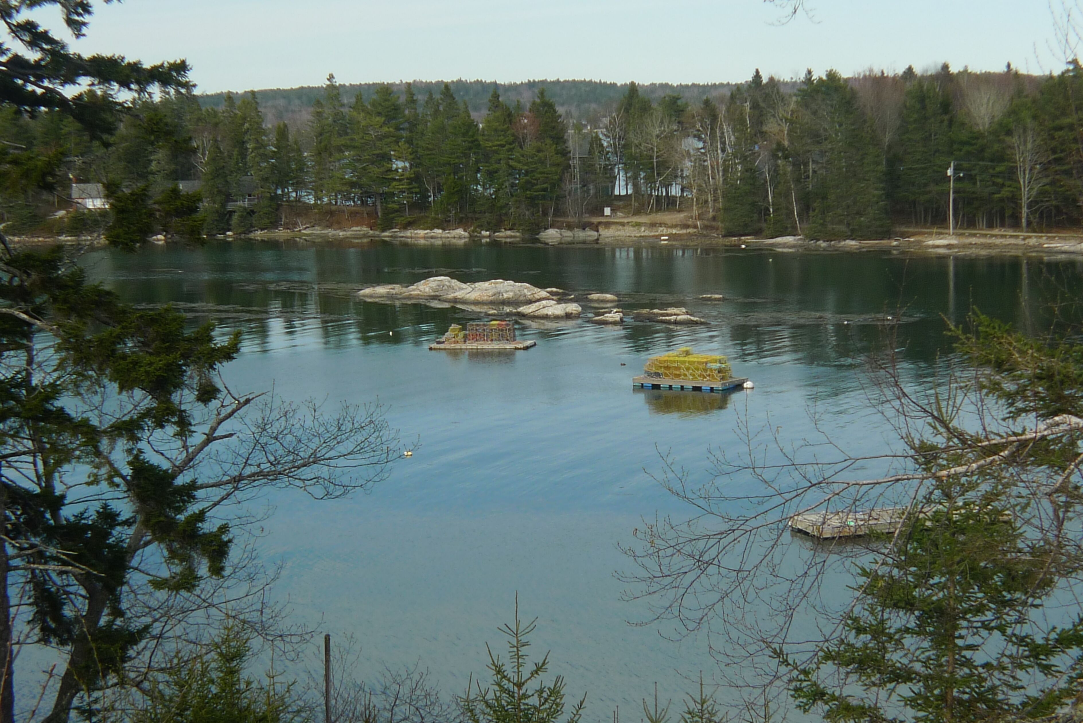 Waterfront Cottage With An Awesome View Of Capital And Burnt Island