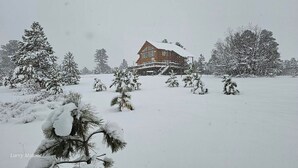 A snow-covered landscape with a house featuring a prominent staircase and a porch. - Book now for hunting and ski seasons. Huge mountain views! (Pagosa Springs)