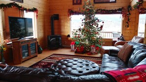 Smart-tv, eldstad, dvd-spelare och böcker