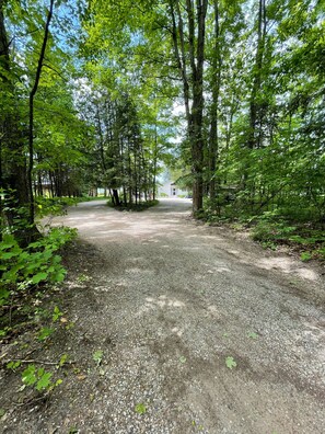 Property grounds - Walloon Lake Gold Coast - Three season cottage right on the water! (Walloon Lake)