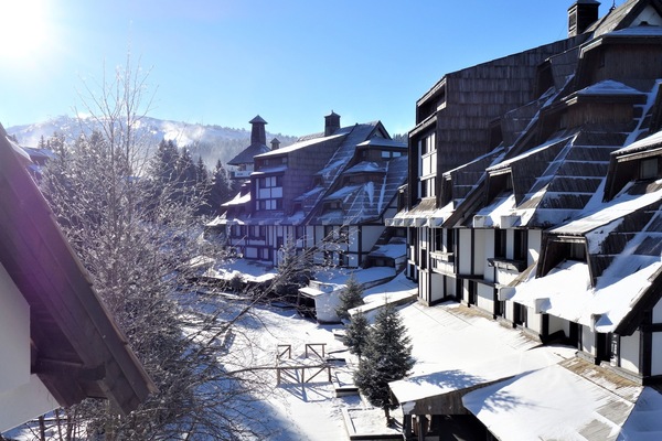 Comfort Apartment, 1 Bedroom, Mountain View | View from room