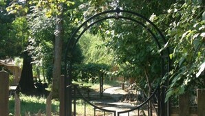 Une porte en métal dans un jardin, avec une clôture en bois et des arbres.