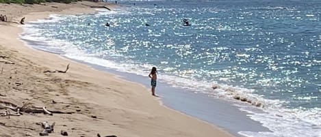 Beach nearby, sun-loungers, beach towels