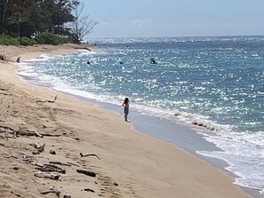 Playa en los alrededores, camastros y toallas de playa 