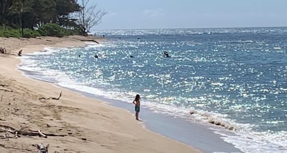 Haus auf 1/2 Morgen über Strand. Klimaanlage im Wohn- und Schlafzimmer
