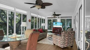 Smart TV, DVD player, books, video library