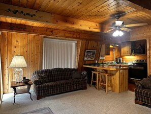 TV connectée, cheminée, lecteur de DVD, livres