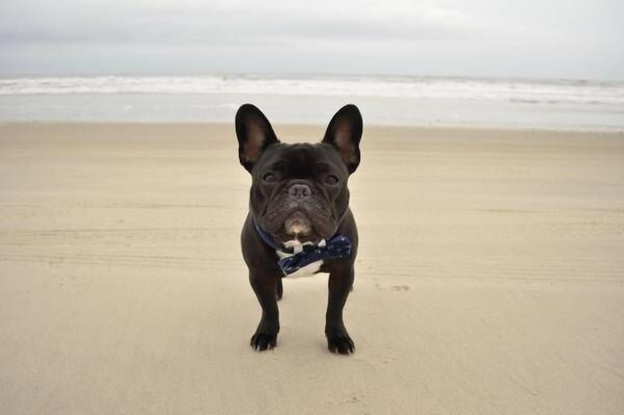 On the beach