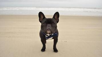 On the beach