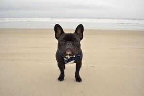 En la playa