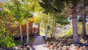 A pathway leading to a wooden cabin with a deck, surrounded by trees and rocky terrain. - Pikes Peak Ranch - Eagle Crest Cabin (Woodland Park)