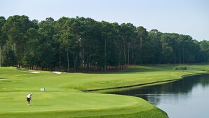 A golf course with a water hazard, a flagstick, and a golfer in action. - OCEANFRONT TH with pool on the beach! (Surfside Beach)