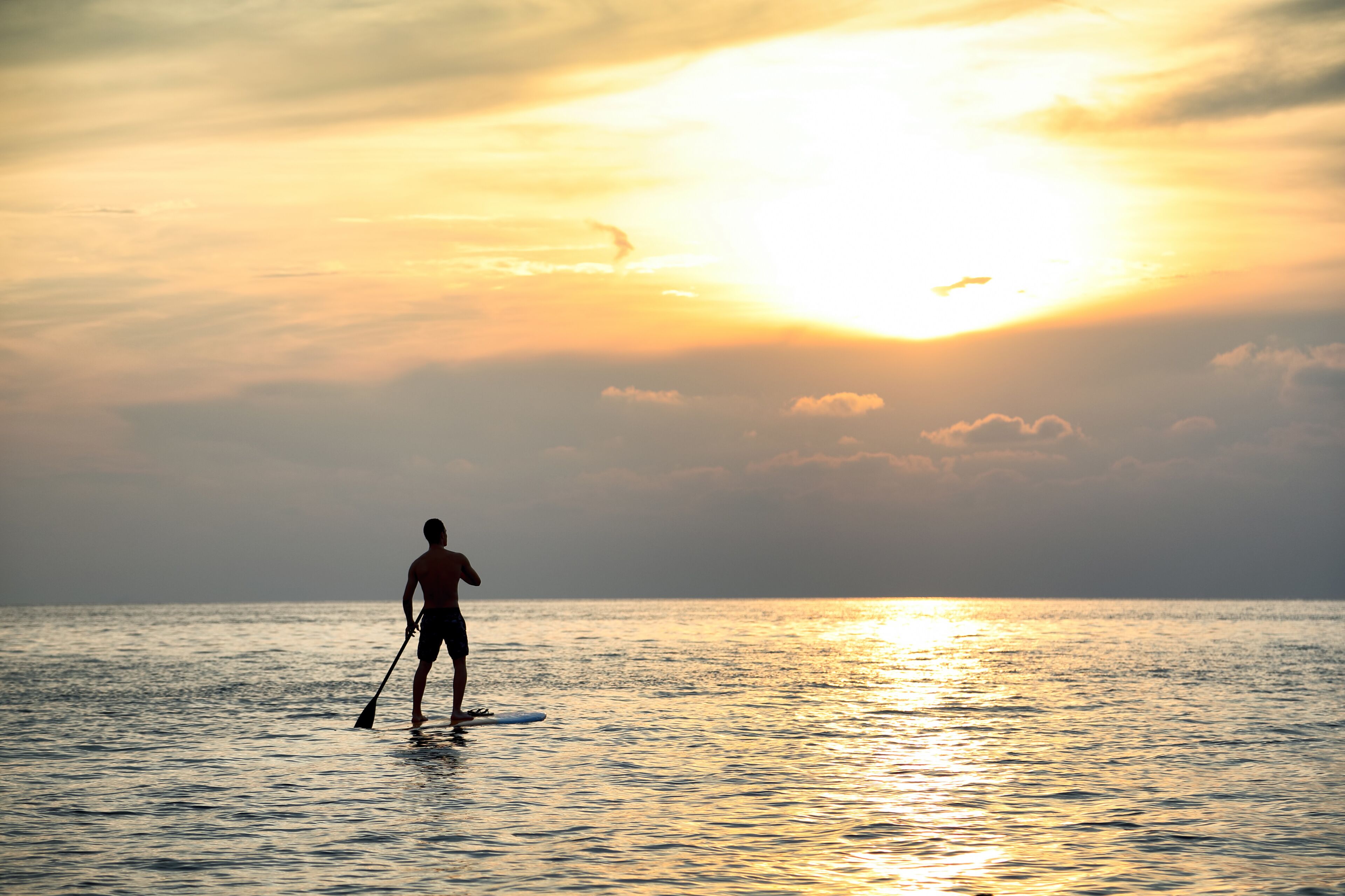 A person paddleboarding at sunset with the sun low on the horizon.