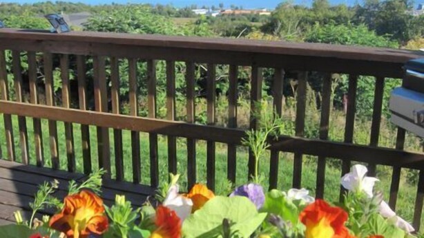 A deck with a view of mountains and a body of water. - Musician's Paradise With Spectacular Views (Homer)