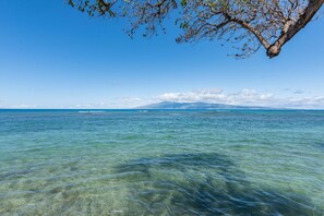 Vista despejada de una zona costera con mar tranquilo y una rama de árbol en primer plano.
