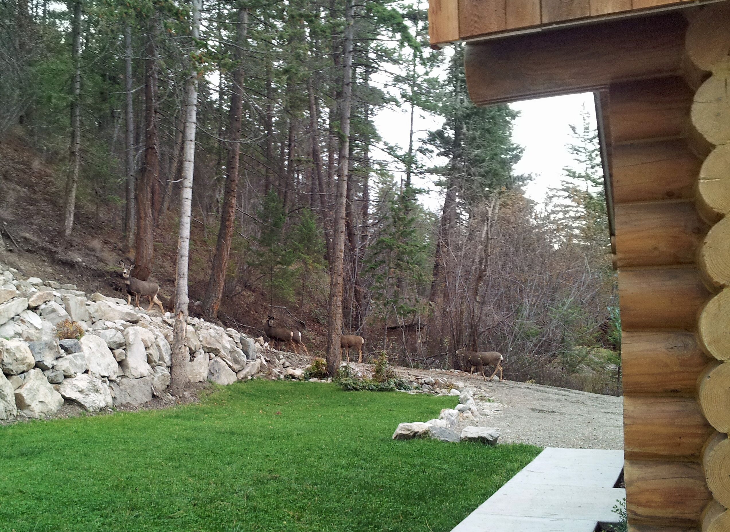 Top 10 Lake Cabin Rentals Near Okanagan Lake, Canada Updated 2024