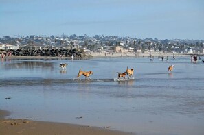 Plage à proximité