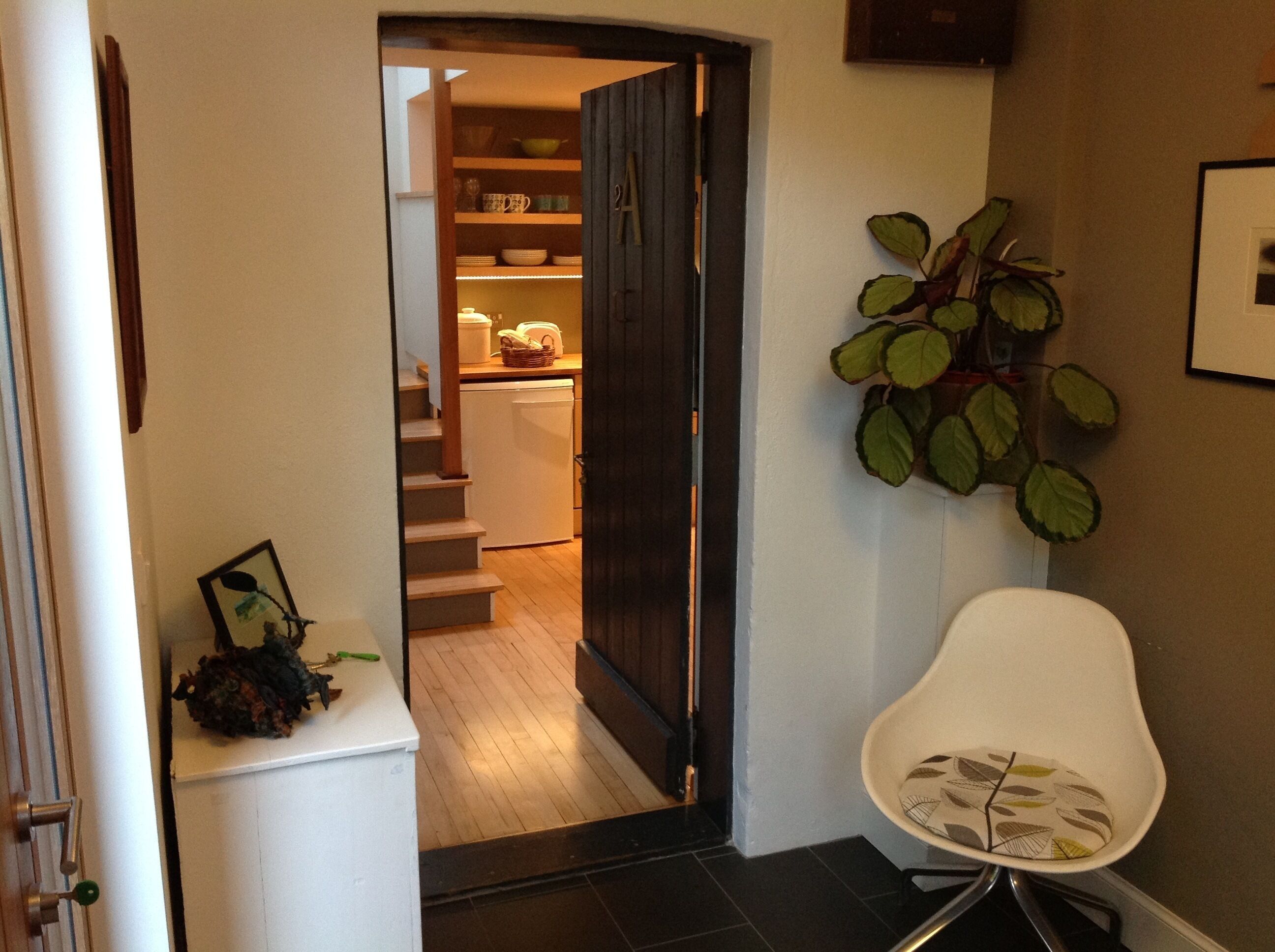 A hallway leading to a kitchen with a dark door, a white chair, and a potted plant.
